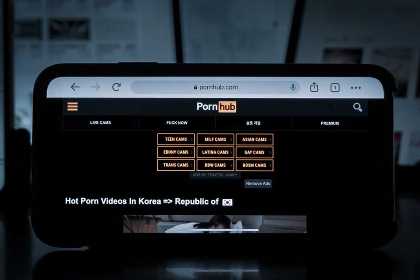 pornhub porn