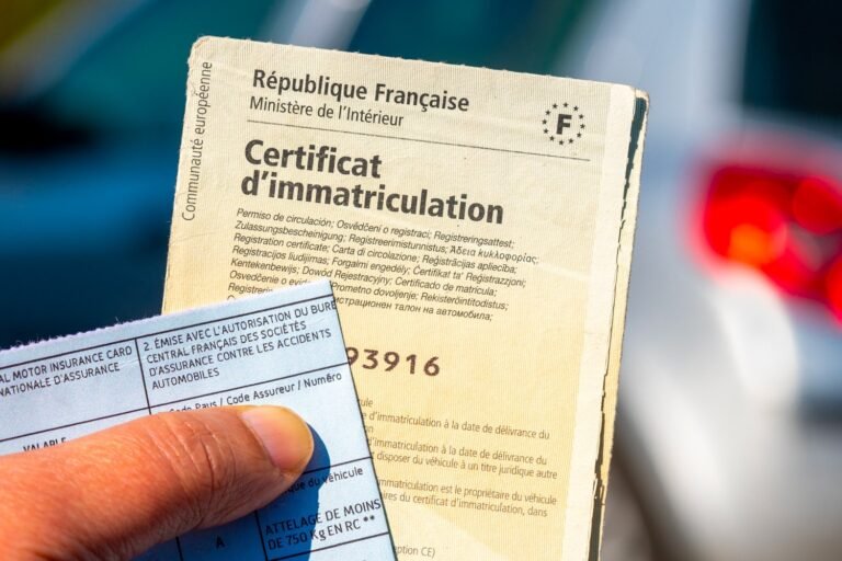 carte-grise-permis.jpg